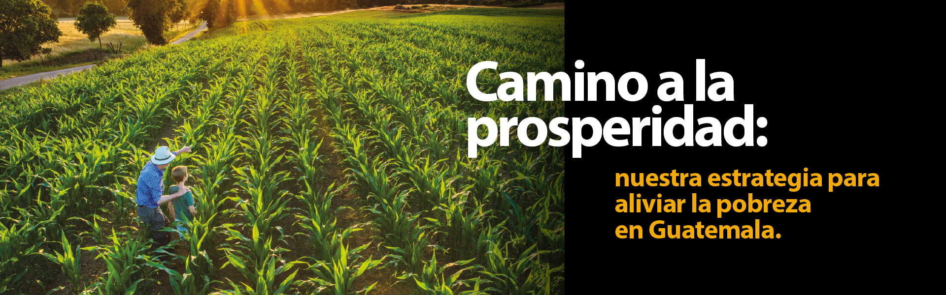 PROSPERITY LAB_banner5