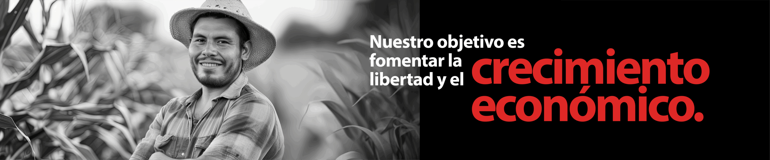 PROSPERITY LAB_banner2
